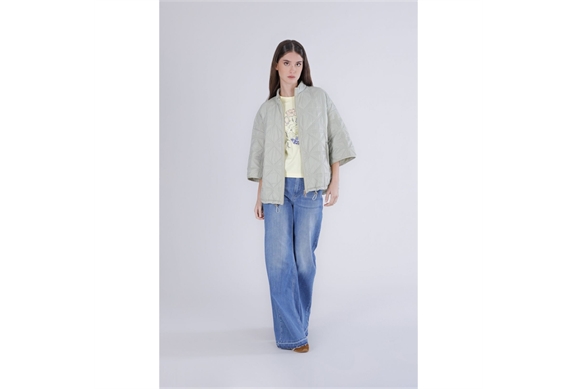 c7jn0129_g051-i1 (1)