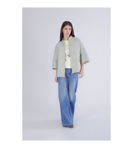 c7jn0129_g051-i1 (1)