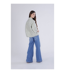 c7jn0129_g051-i2 (1)