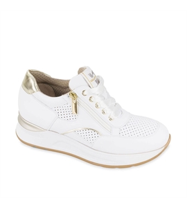 45611_bianco