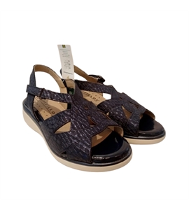 10341-removebg-preview (1)