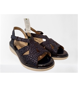 10341-removebg-preview